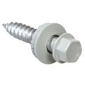 Totalturf 47726 10 x 1 in. White Painted Head Self Piercing Sheeter Screw TO595692